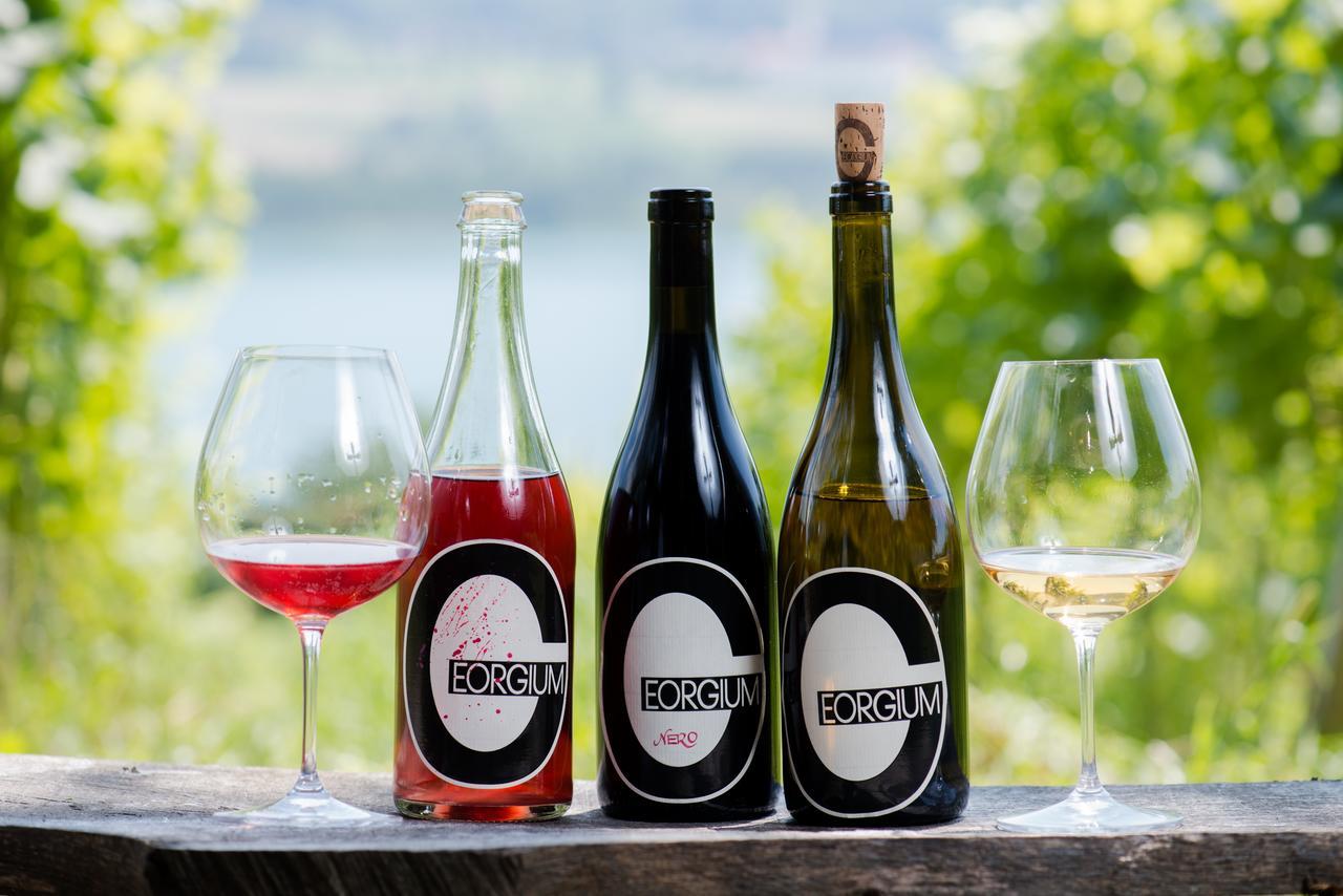Bed and Breakfast Weingut Georgium Sankt Georgen am Längsee Exteriér fotografie
