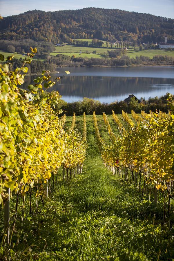 Bed and Breakfast Weingut Georgium Sankt Georgen am Längsee Exteriér fotografie